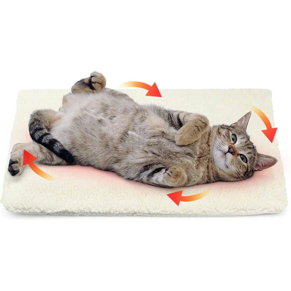 Coussin chauffant chat
